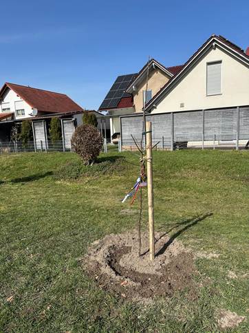 Ein Bild, das drau�en, Gras, Pflanze, Himmel enth�lt.

KI-generierte Inhalte k�nnen fehlerhaft sein.